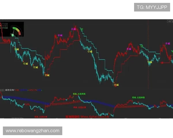 如何选择适合自己的满冠体育滚球投注方案实现稳健盈利